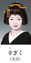 幸ぎく